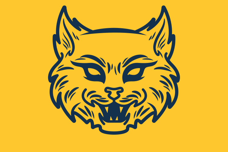 Blue Logo