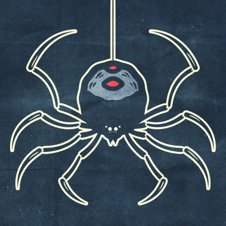 Day Seven: Spider
