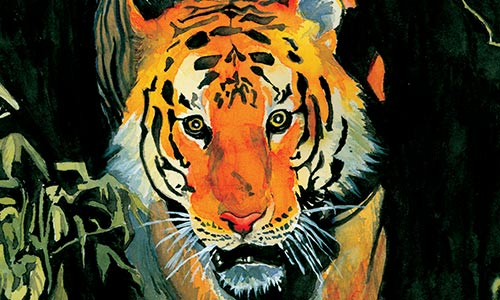 Bengal Tiger