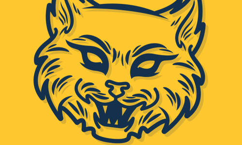 Bacon Academy Bobcats